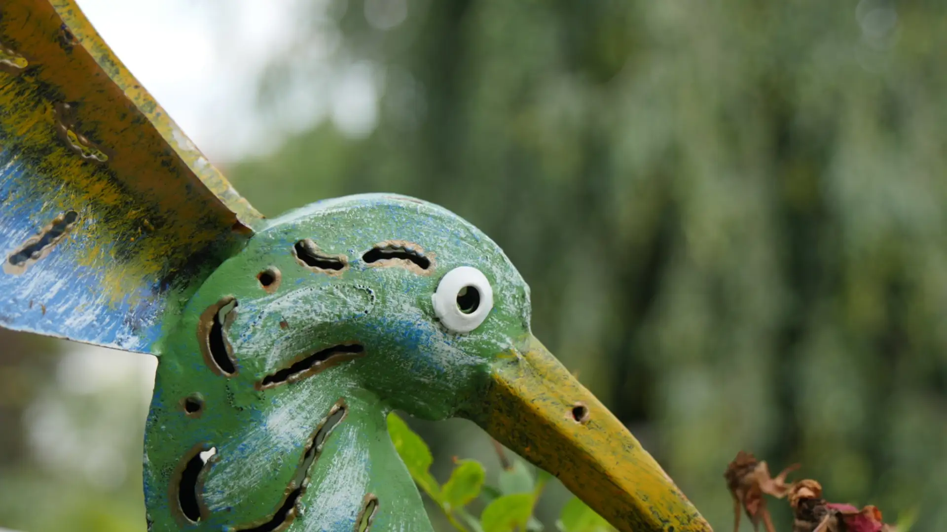 balkony bird